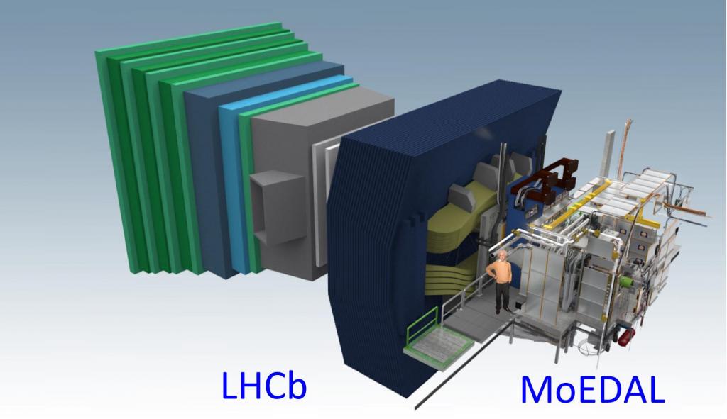 MoEDAL Detector at the LHC